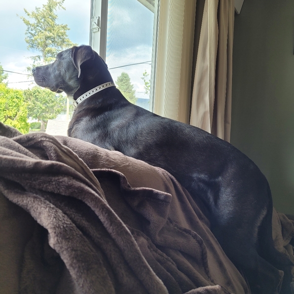 Meet your Posher, Kelly - Picture 1 of 1